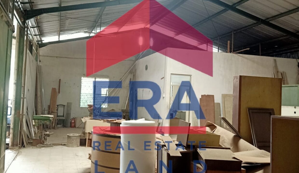 WhatsApp Image 2022-02-21 at 15.48.48 (2)