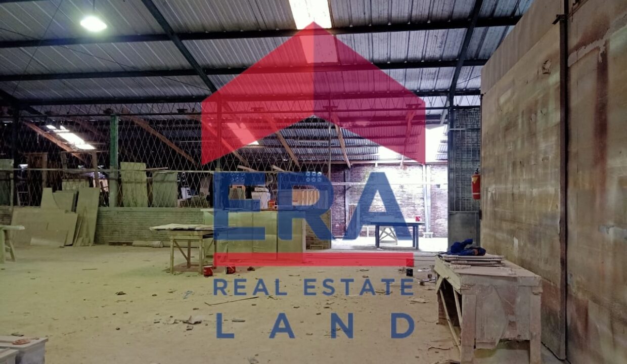 WhatsApp Image 2022-02-21 at 15.48.49 (1)