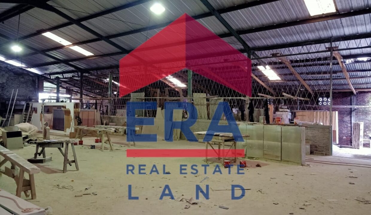 WhatsApp Image 2022-02-21 at 15.48.50 (1)