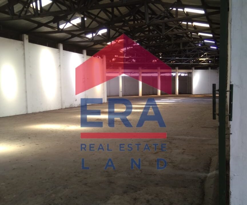 WhatsApp Image 2022-02-21 at 16.35.26 (2)