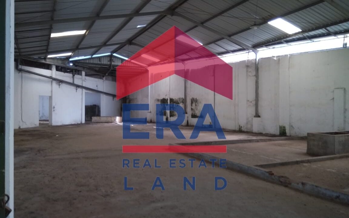 WhatsApp Image 2022-02-21 at 16.35.28 (1)