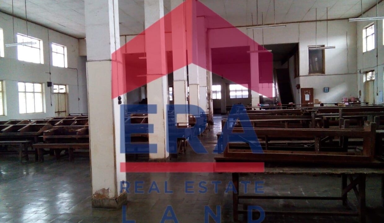 WhatsApp Image 2022-03-01 at 18.12.03