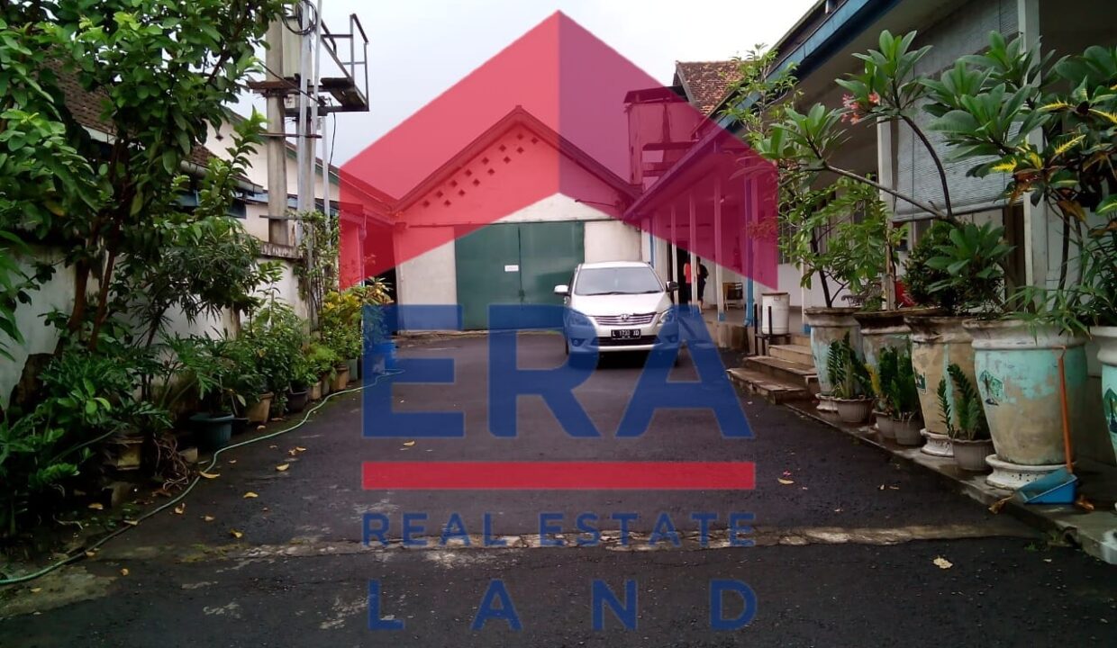 WhatsApp Image 2022-03-01 at 18.12.04 (1)