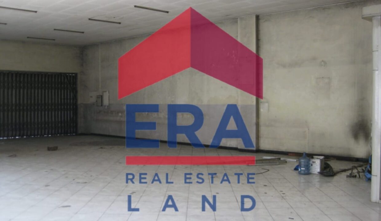 WhatsApp Image 2022-03-01 at 19.43.28 (1)