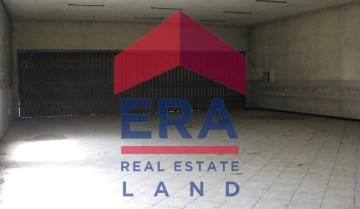 WhatsApp Image 2022-03-01 at 19.43.29 (2)