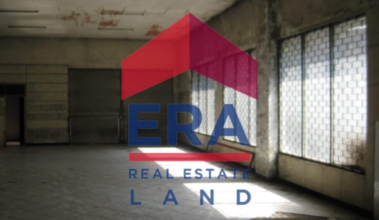 WhatsApp Image 2022-03-01 at 19.43.30