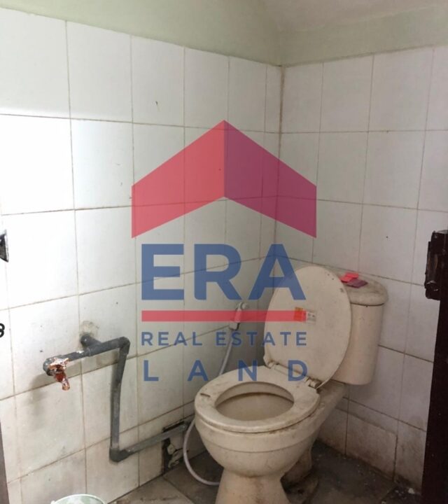 Picsart_22-02-16_09-02-58-515 (FILEminimizer)