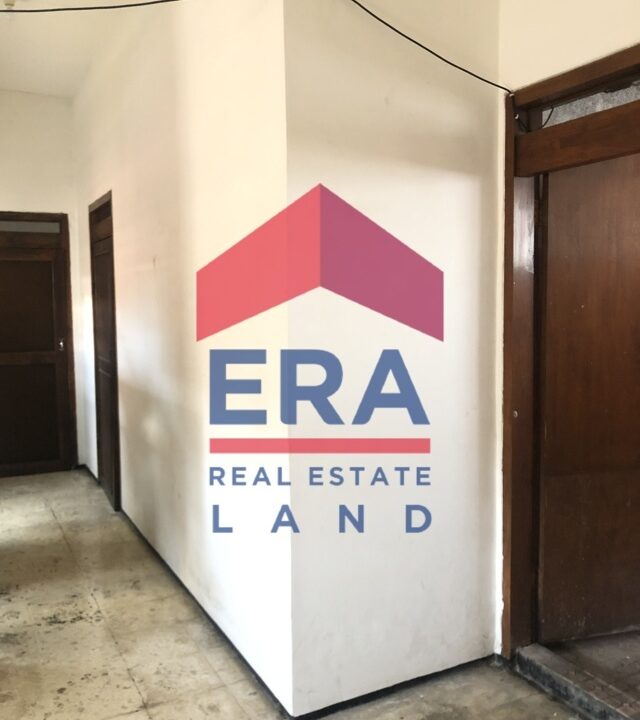 IMG_4838 (FILEminimizer)