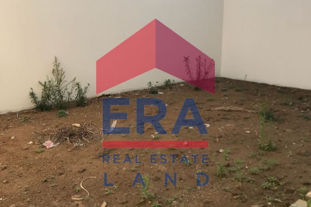 Picsart_22-02-18_14-03-14-910