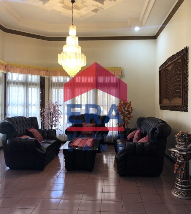 Picsart_22-02-19_09-33-48-976 (FILEminimizer)