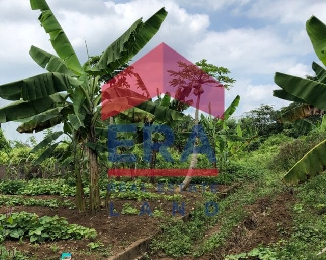 Dijual Tanah Banjararum Singosari Malang