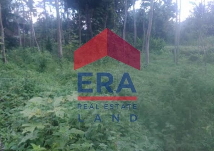 Dijual Tanah Pakis Bunut Wetan Malang