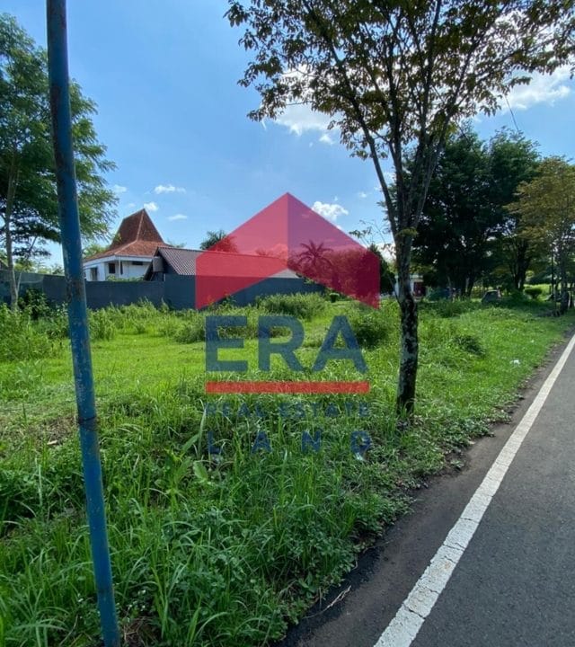 Picsart_22-02-17_09-14-16-224 (FILEminimizer)