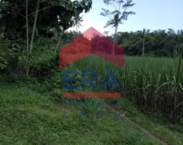 Dijual Tanah Jalan Wajak Malang