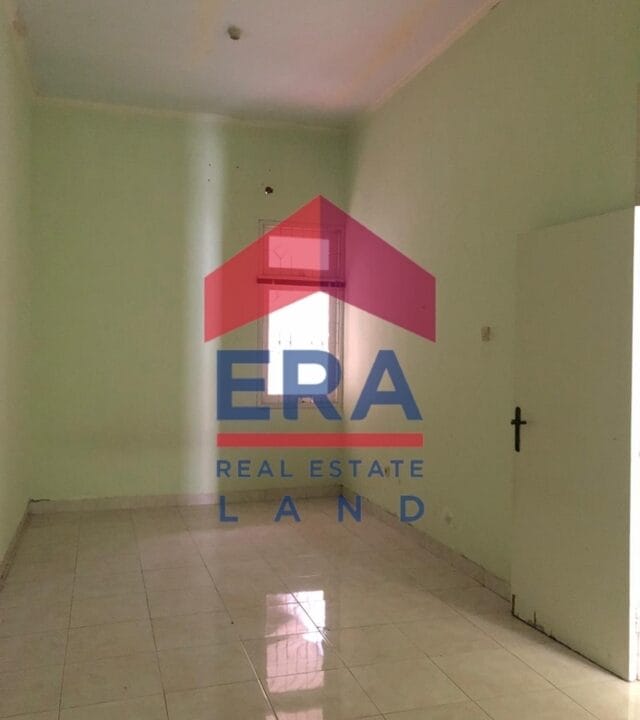 Picsart_22-02-19_11-07-35-971 (FILEminimizer)