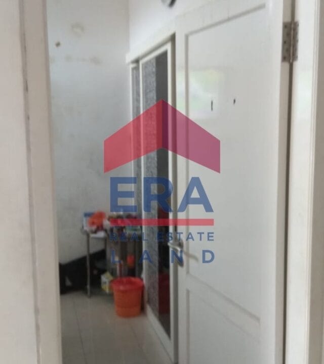 Picsart_22-02-23_08-34-49-168 (FILEminimizer)