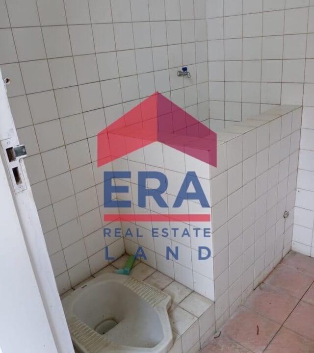 Picsart_22-02-24_11-52-07-988 (FILEminimizer)