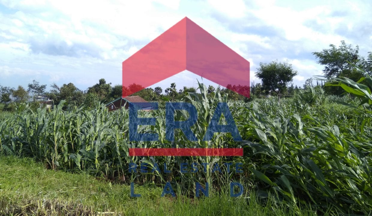 Picsart_22-03-05_10-28-33-853