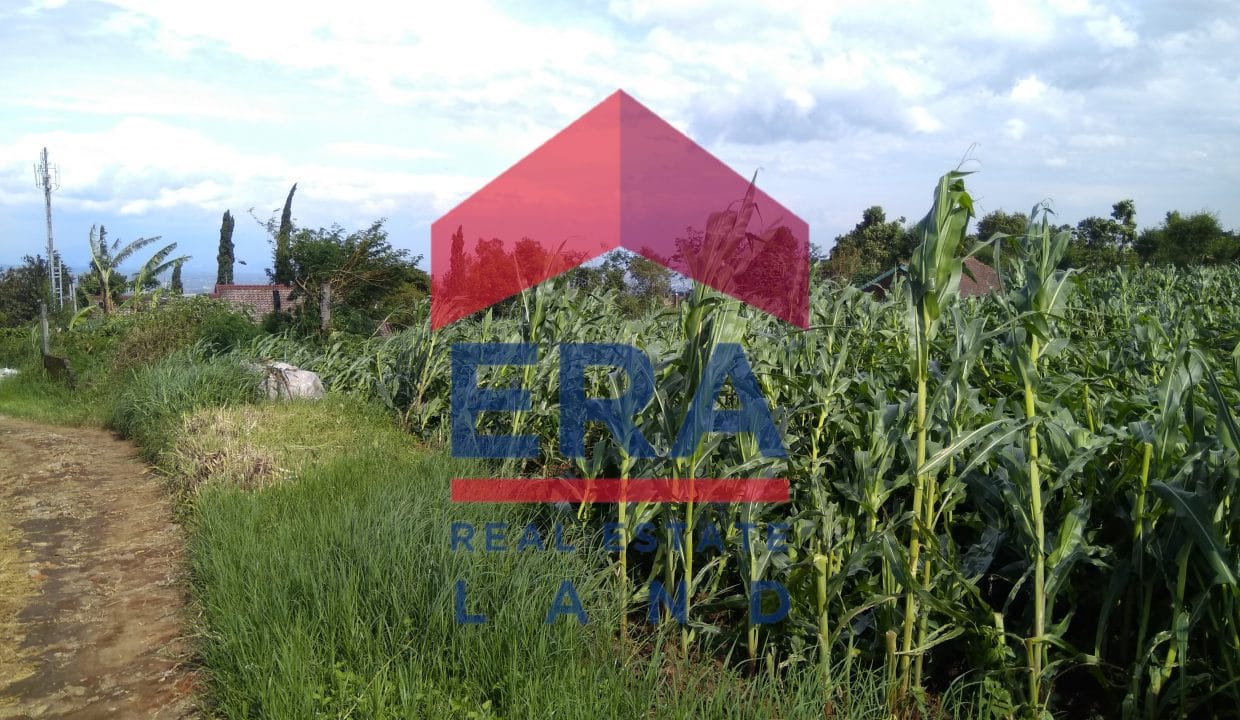 Picsart_22-03-05_10-28-50-891