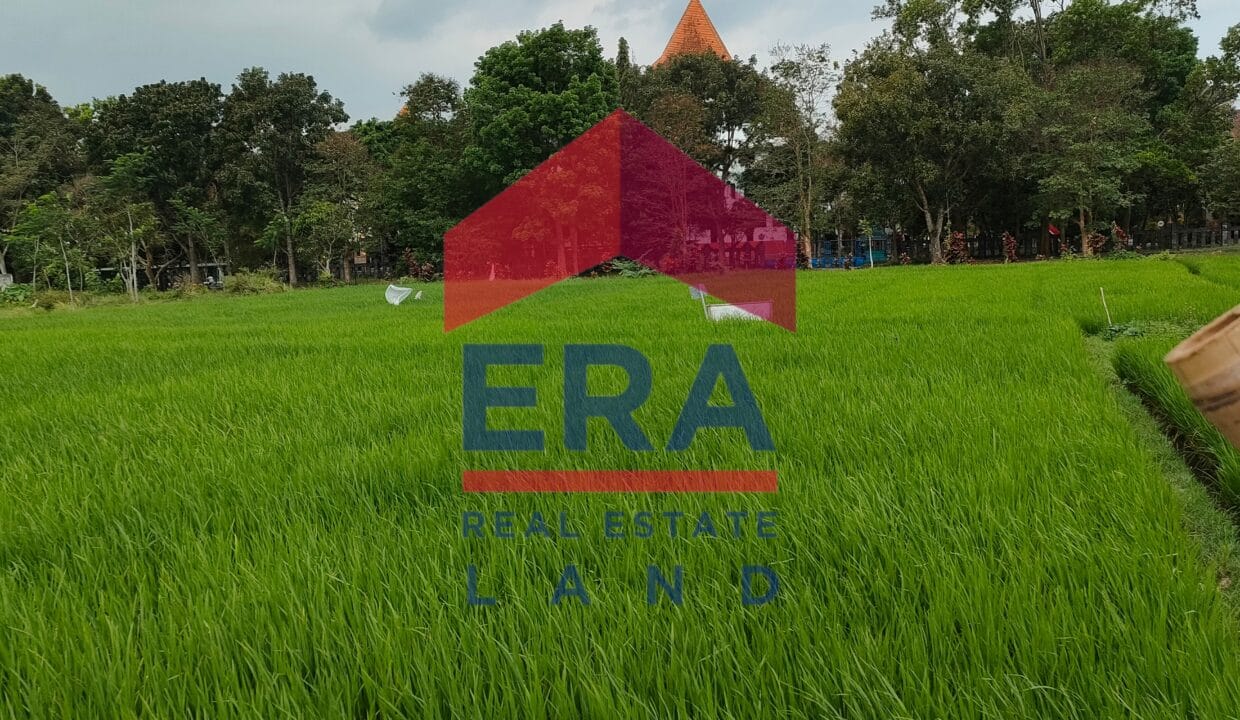 Picsart_22-03-08_13-19-28-391