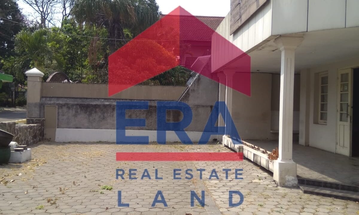 WhatsApp Image 2022-03-03 at 18.08.49 (1)