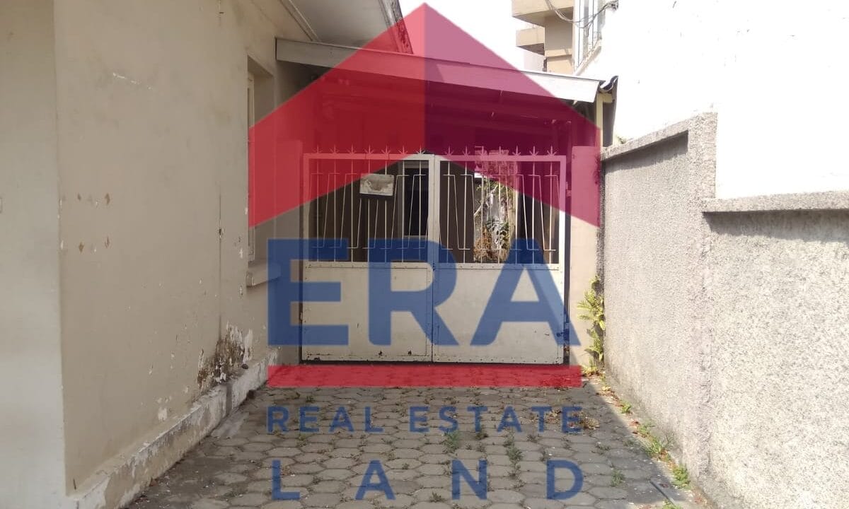 WhatsApp Image 2022-03-03 at 18.08.51 (1)