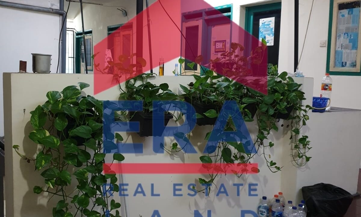 WhatsApp Image 2022-07-11 at 21.16.05