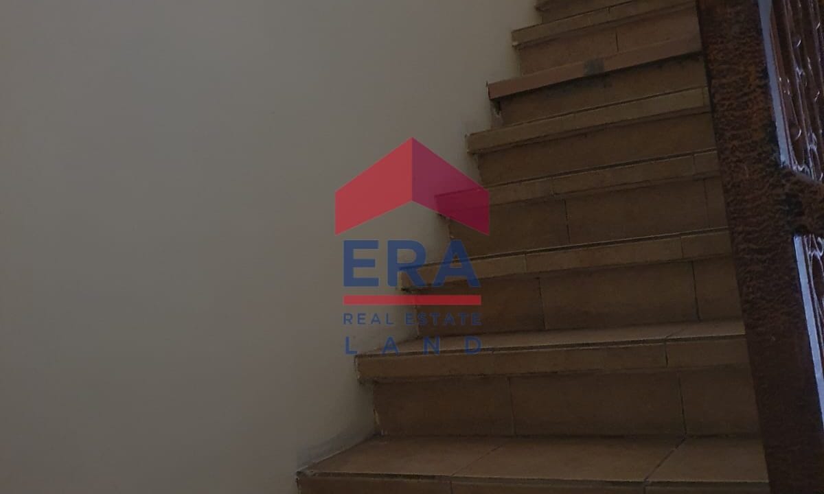 WhatsApp Image 2022-07-19 at 10.09.39 (1)