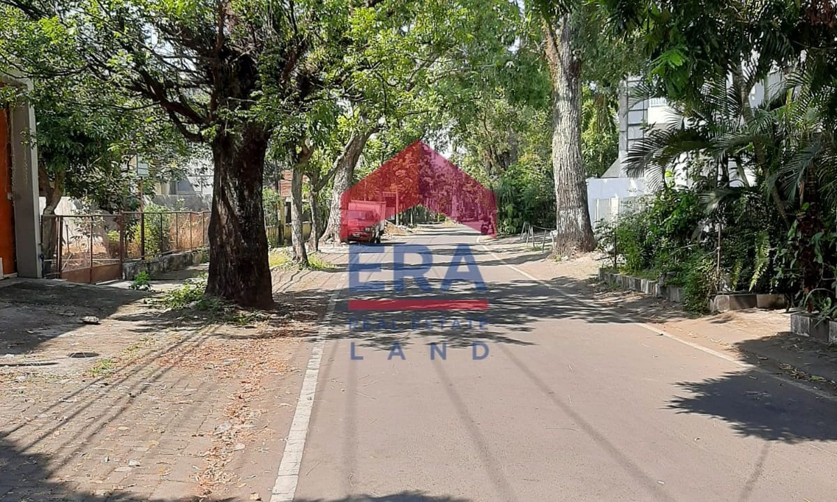 WhatsApp Image 2022-07-27 at 10.16.00