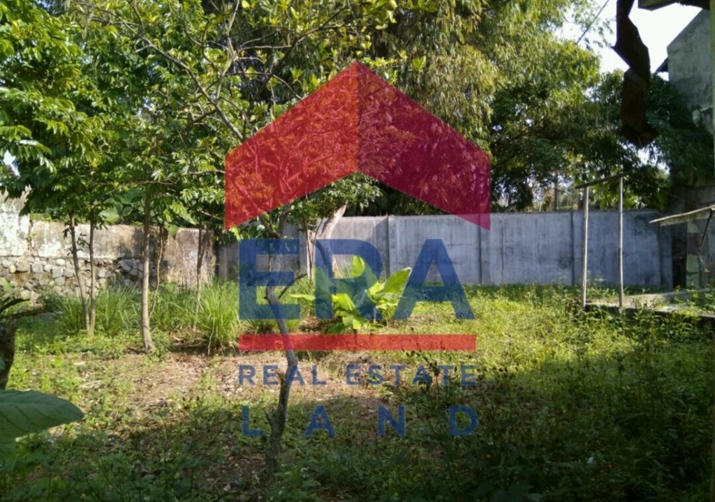 Picsart_22-03-08_09-53-50-837 (FILEminimizer)