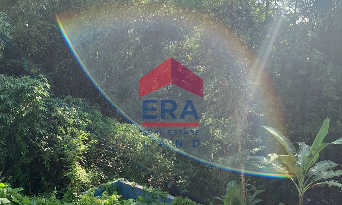 WhatsApp Image 2022-10-07 at 09.09.11 (3)