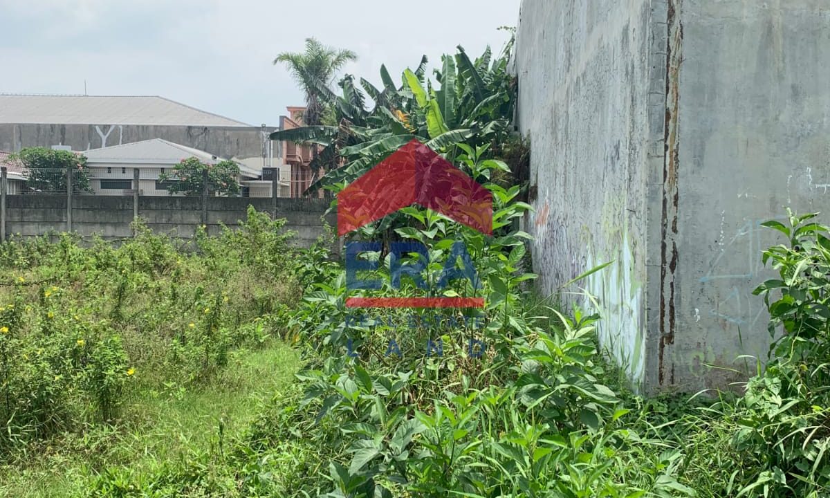 WhatsApp Image 2022-10-07 at 09.15.13 (1)