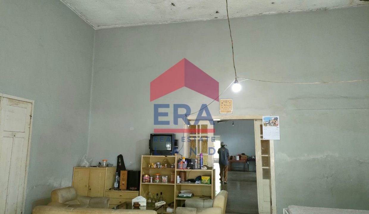 WhatsApp Image 2022-10-21 at 11.30.21 (2)