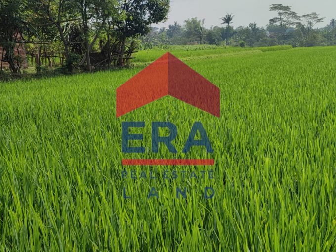 Dijual Tanah di Dusun Genitri Ngenep Karangploso