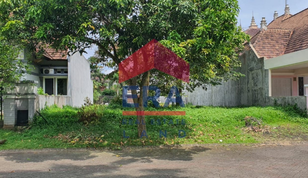 WhatsApp Image 2022-10-31 at 14.21.05 (2)