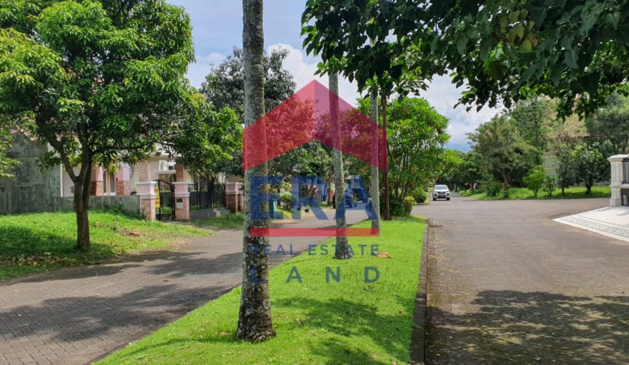 WhatsApp Image 2022-10-31 at 14.23.37