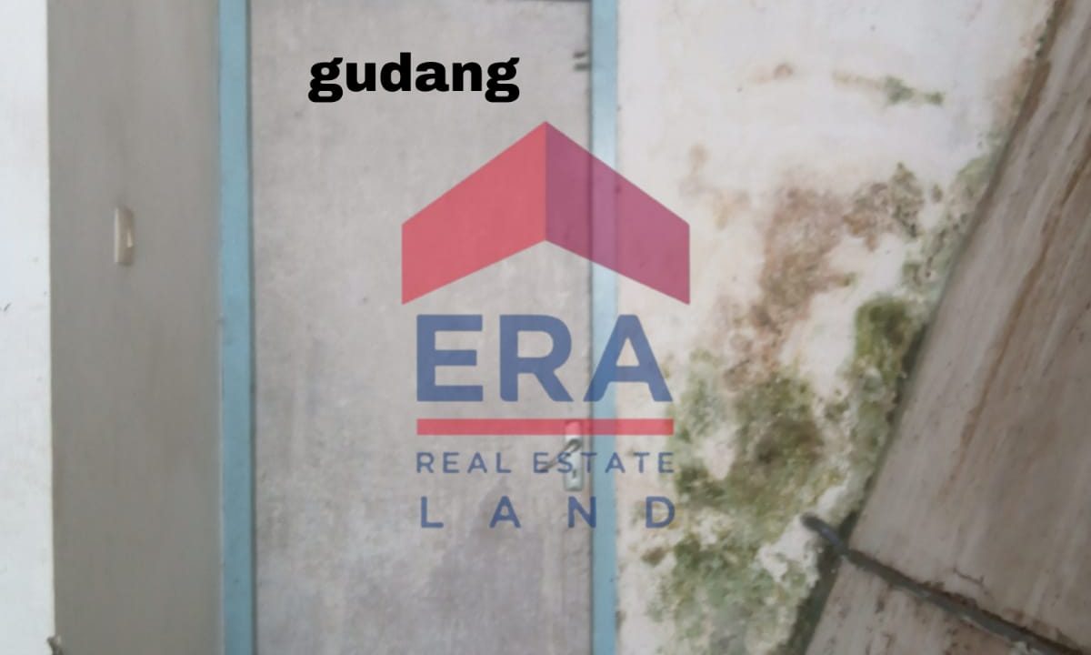 WhatsApp Image 2022-11-15 at 15.59.51