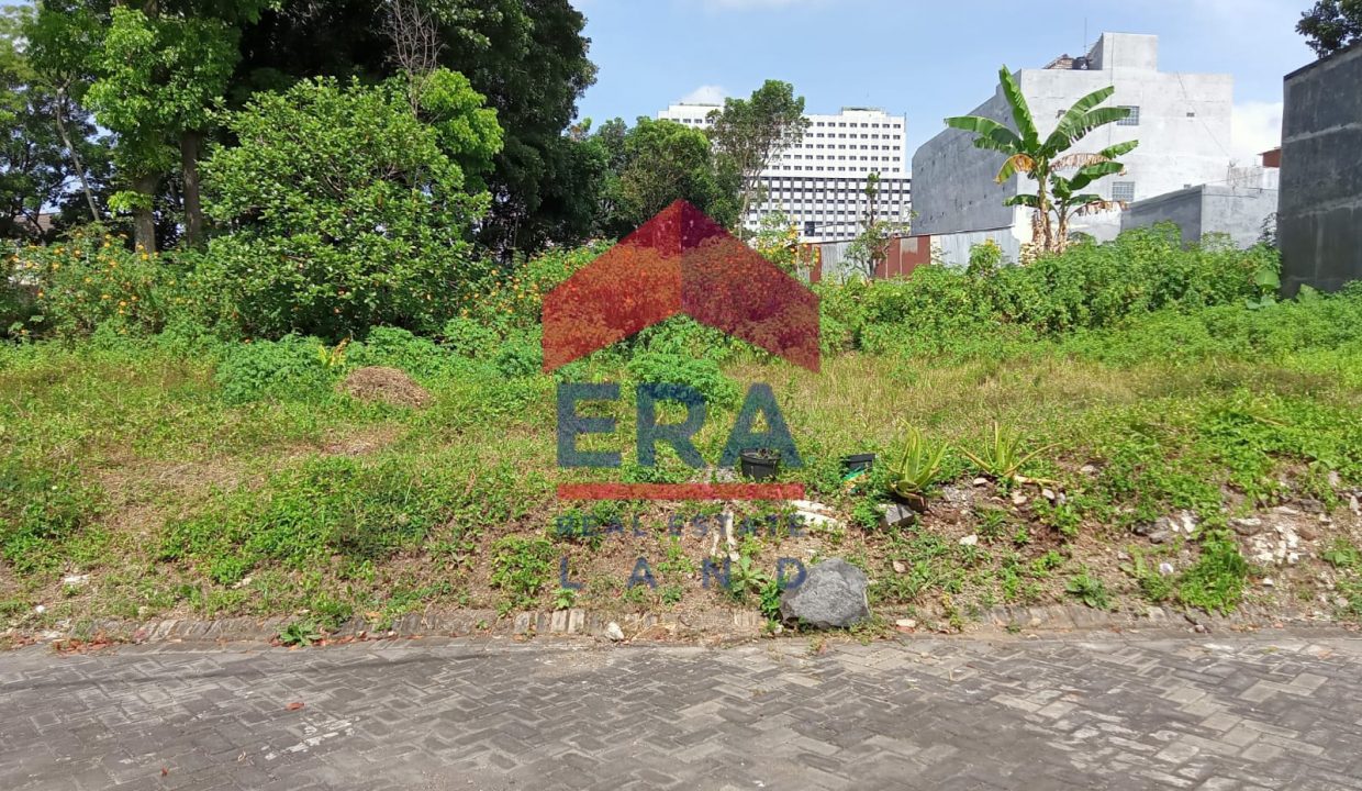 WhatsApp Image 2022-11-28 at 14.05.42