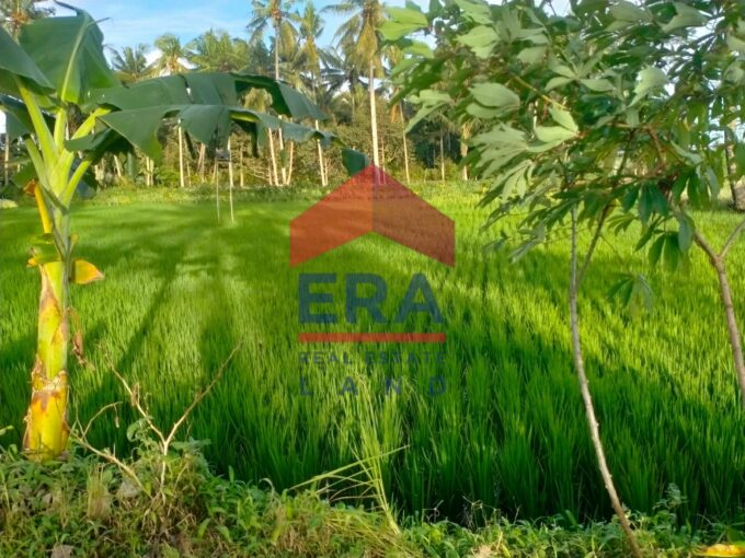 Dijual Tanah di Jalan Talangsuko Malang