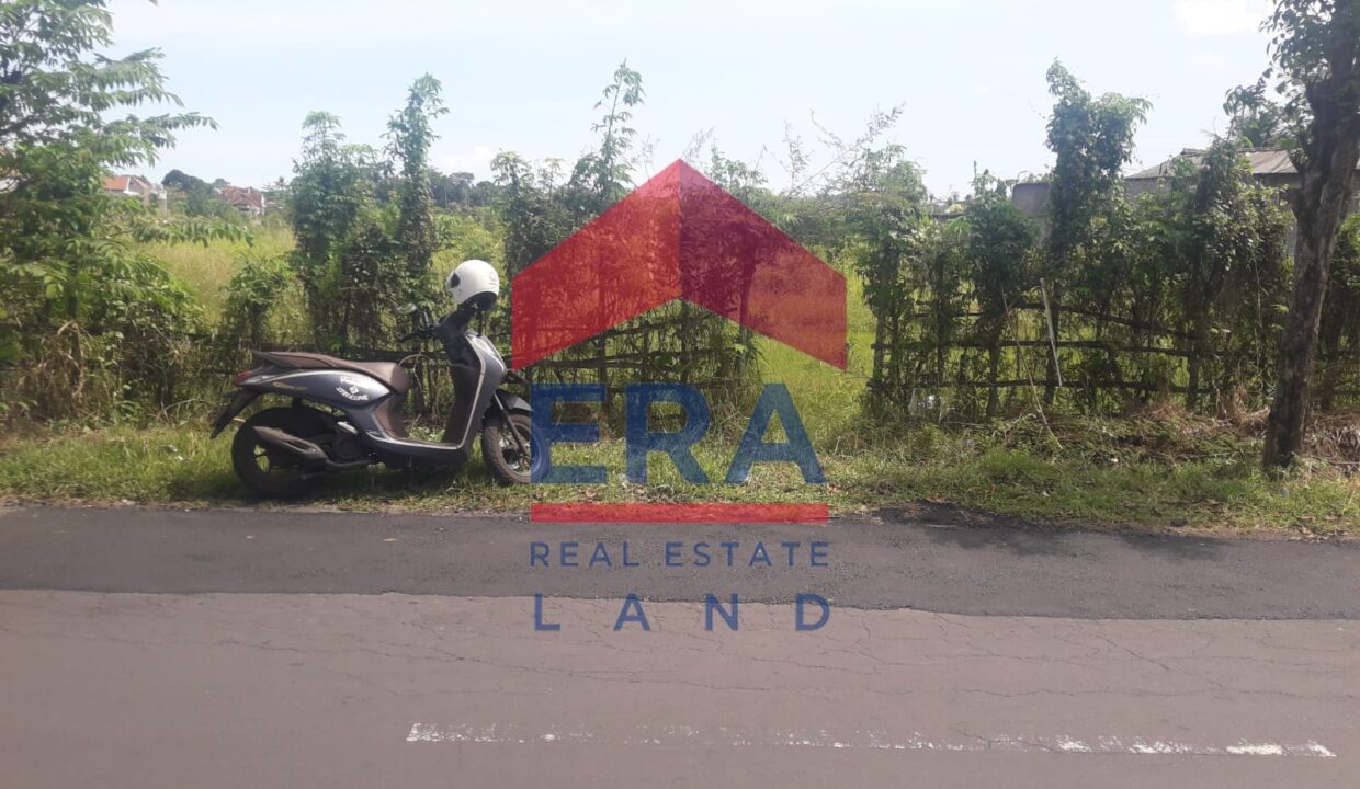 WhatsApp Image 2023-05-08 at 13.36.31 (1)