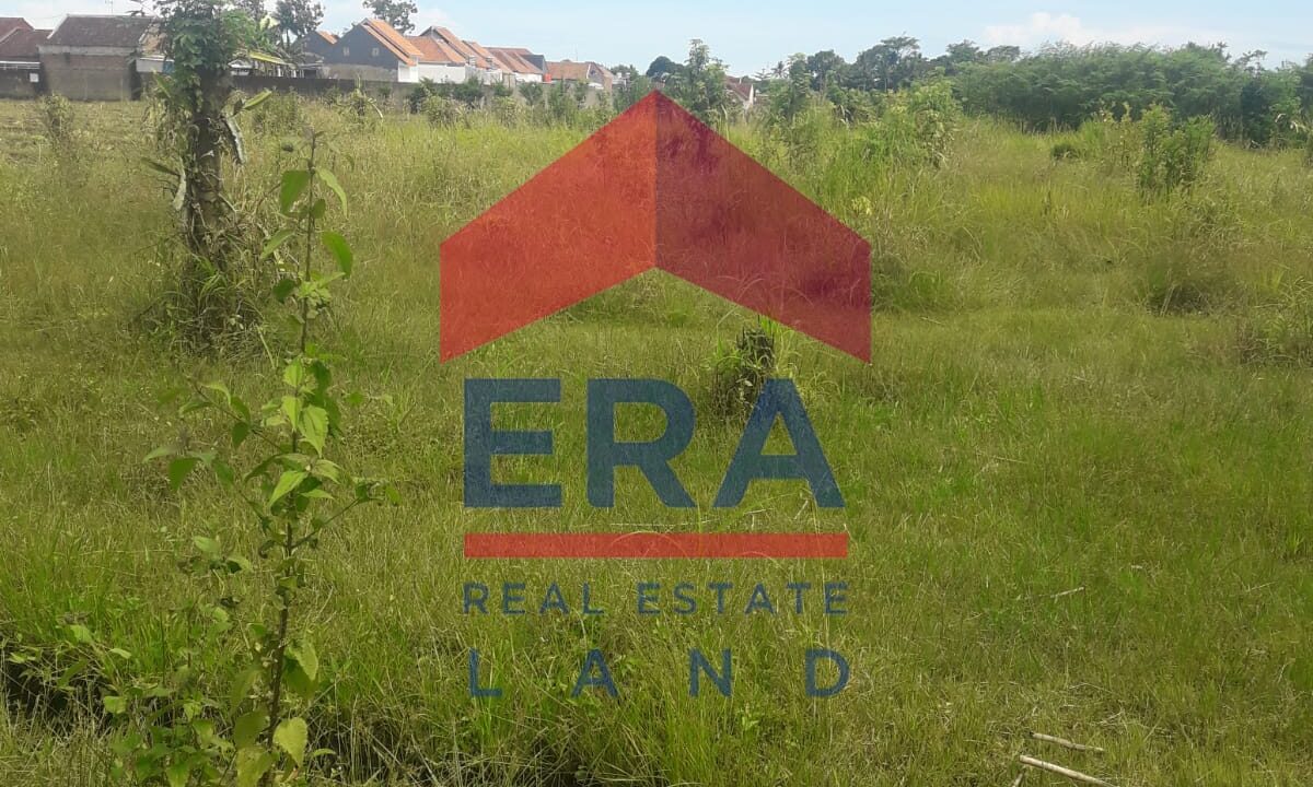 WhatsApp Image 2023-05-08 at 13.36.31