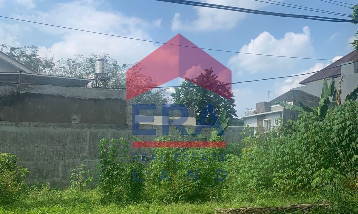 WhatsApp Image 2023-06-08 at 11.49.28