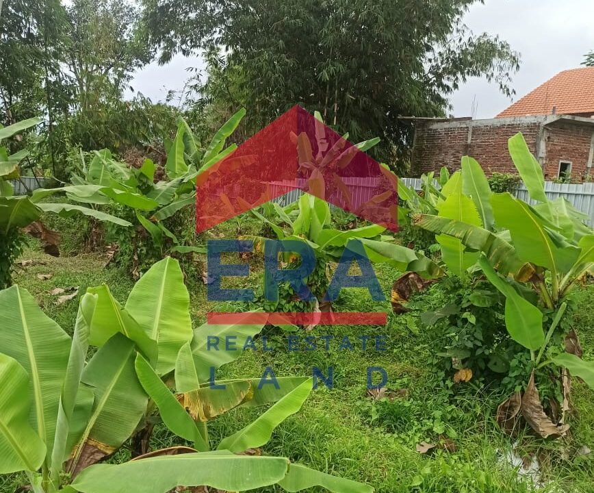 WhatsApp Image 2023-06-10 at 06.28.04