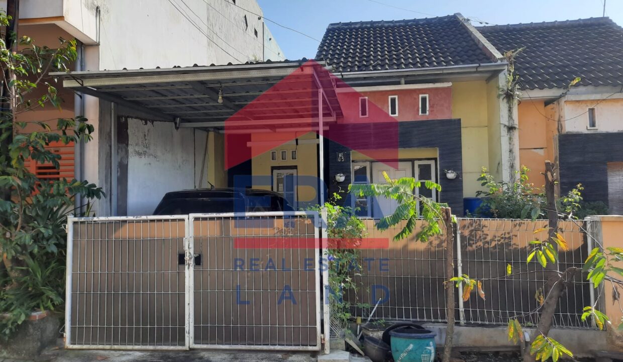 WhatsApp Image 2023-06-23 at 11.31.30 (2)