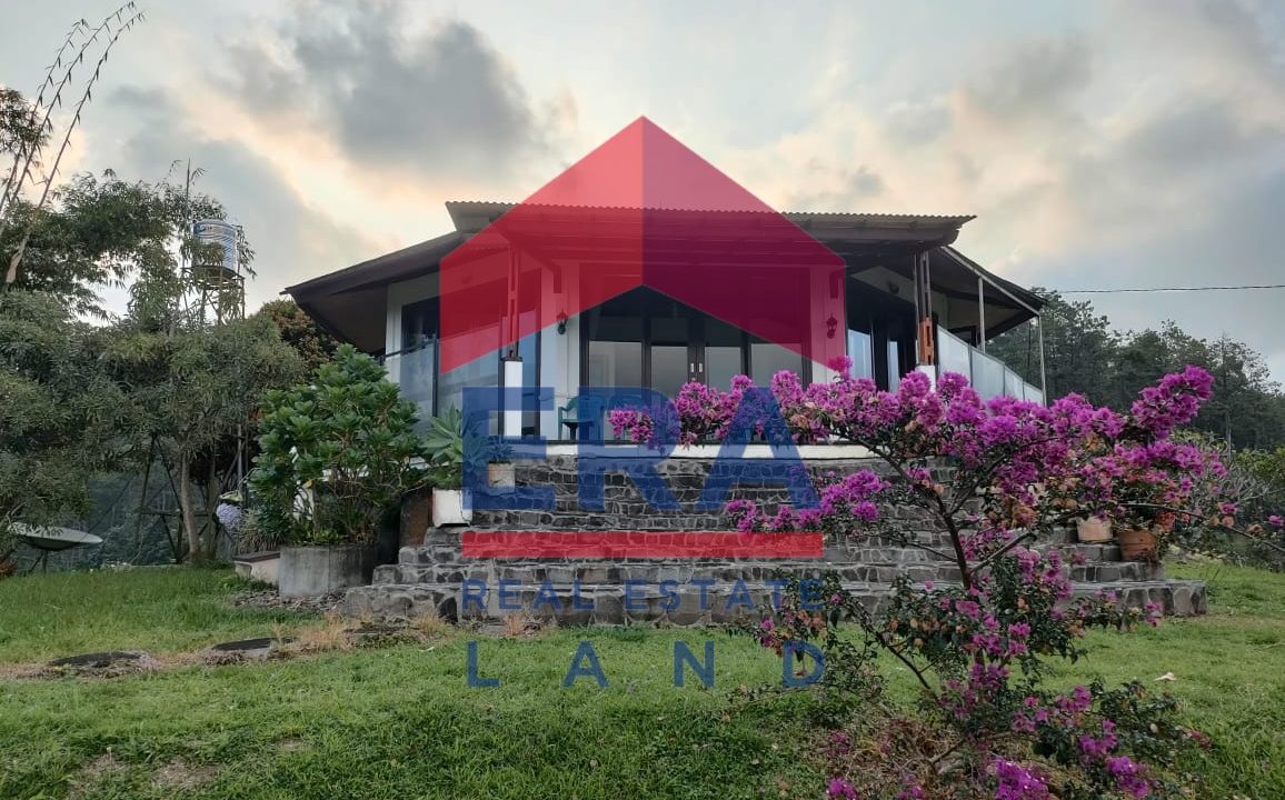 Gambar WhatsApp 2024-01-25 pukul 11.29.12_6f779178