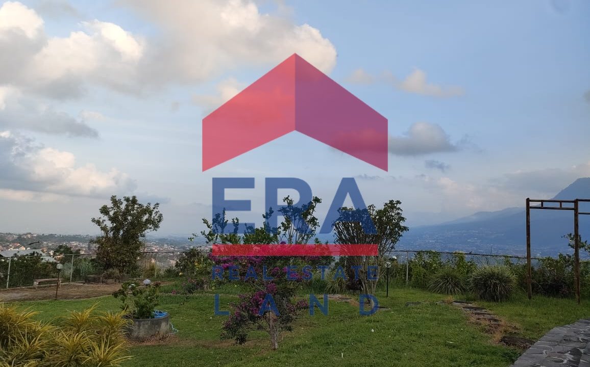 Gambar WhatsApp 2024-01-25 pukul 11.29.12_a279d987