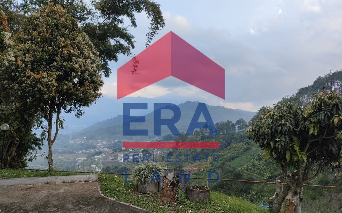 Gambar WhatsApp 2024-01-25 pukul 11.29.14_5f540d07