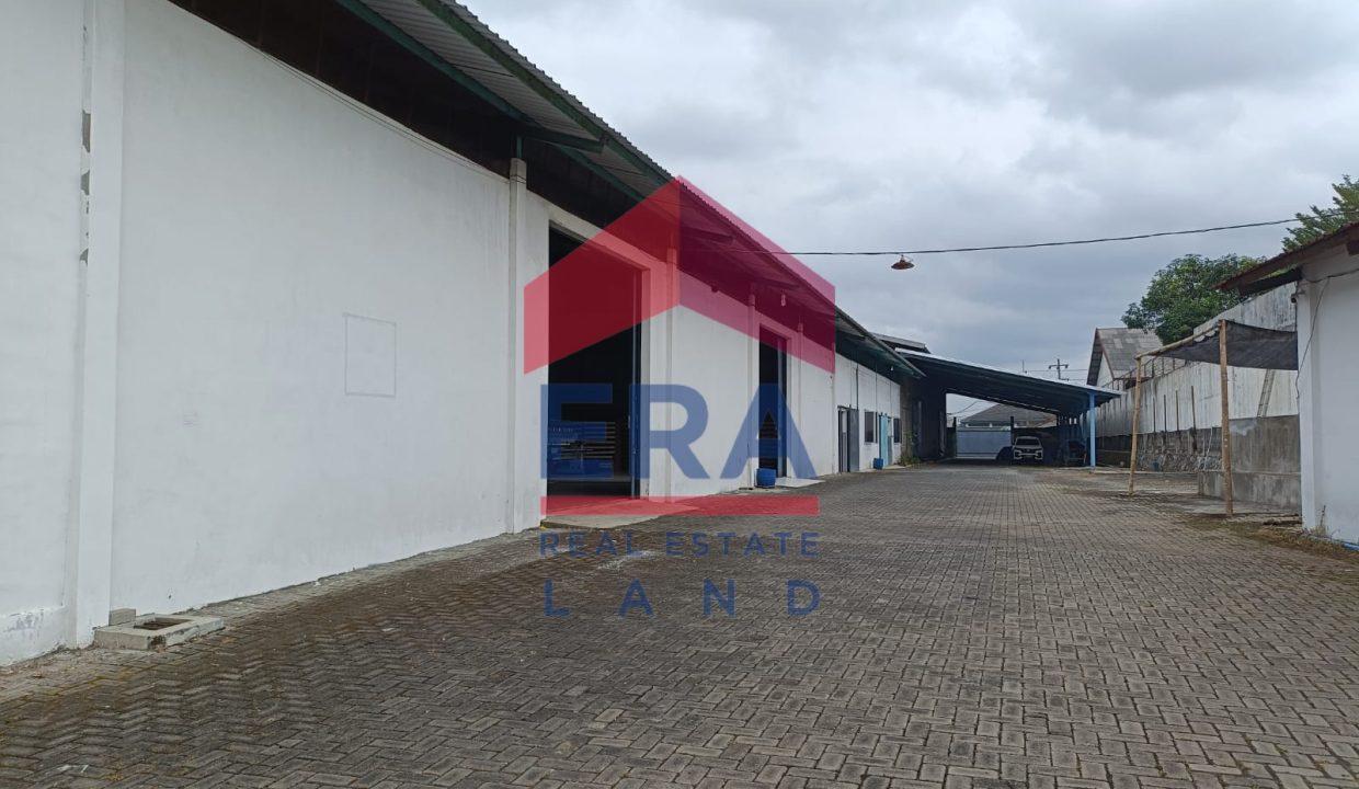 Gambar WhatsApp 2024-06-05 pukul 14.38.48_a4a3cf03