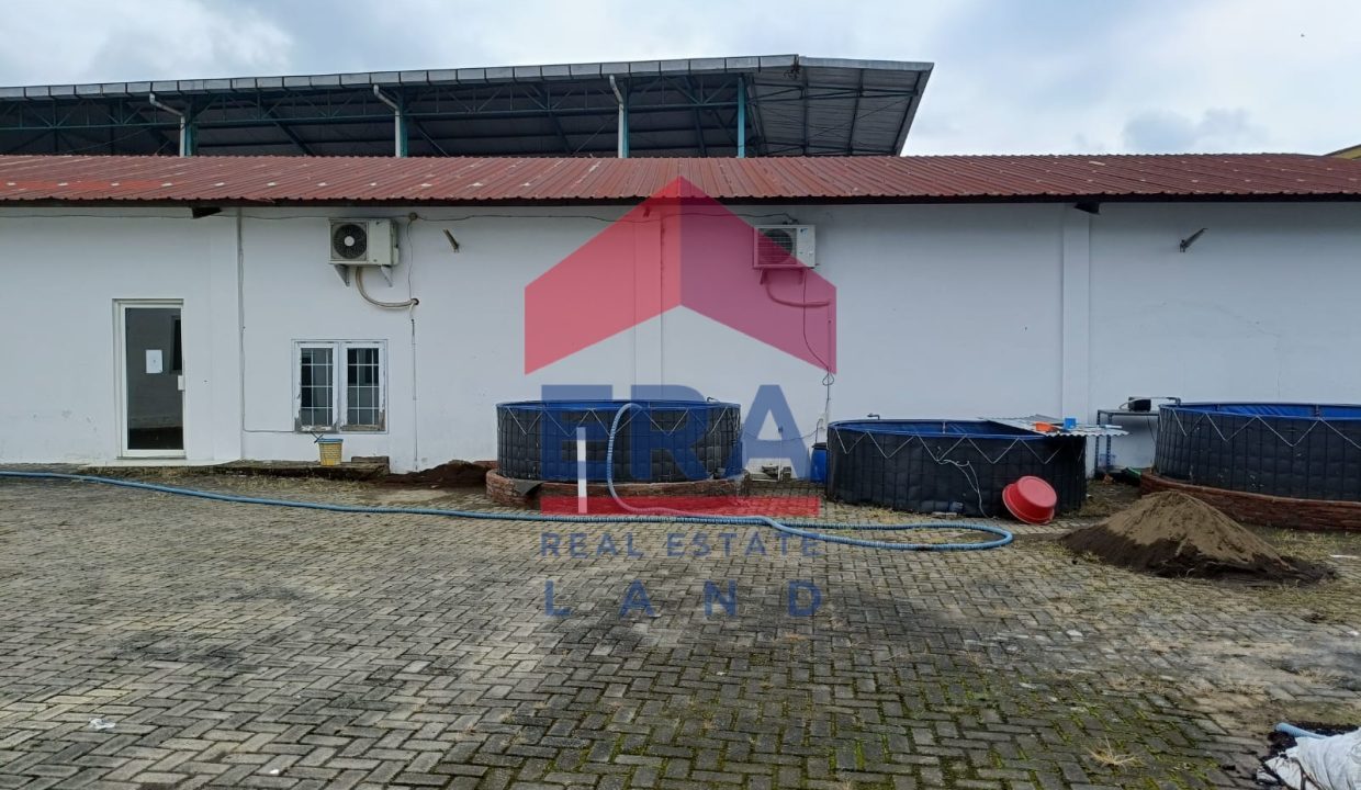 Gambar WhatsApp 2024-06-05 pukul 14.38.49_a289531a