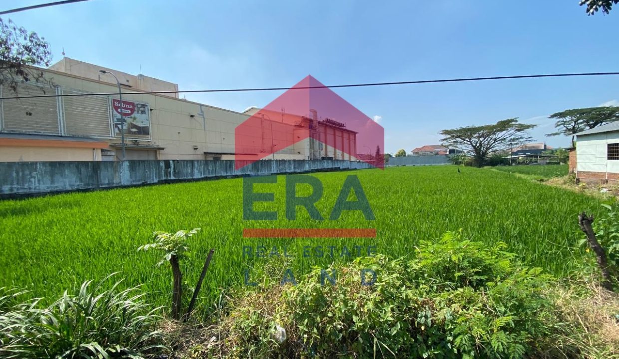 Gambar WhatsApp 2024-06-29 pukul 11.44.13_0fe42556